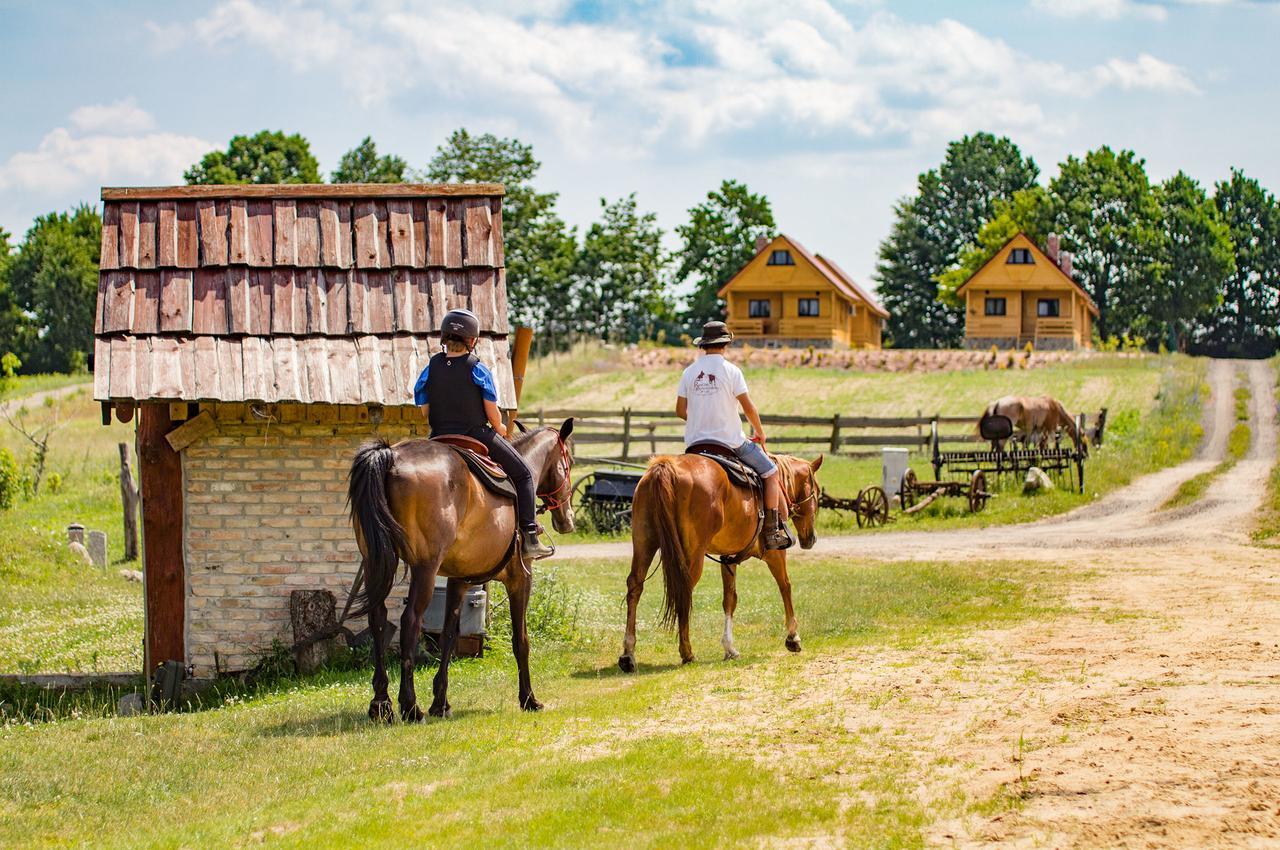 Osada Lagowek - Domek Letniskowy Do Wynajecia Extérieur photo